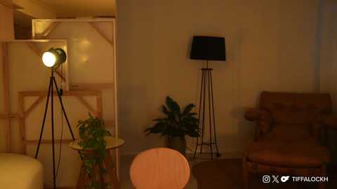 tifalock_ free recording from 2025-02-08 22:07:00