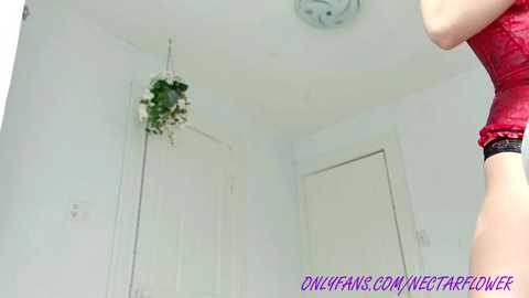 littlegreekflower free recording from 