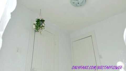 littlegreekflower free recording from 