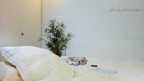 sexycreolyta4u free recording from 