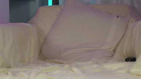 shycinderella free recording from 