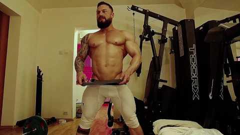 adonis_msc free recording from 2025-02-10 03:26:00