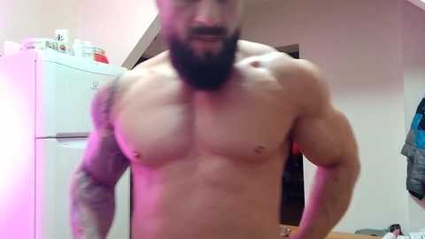 adonis_msc free recording from 2025-02-10 06:22:00