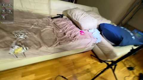 bunnyclide free recording from 2025-02-10 21:28:00