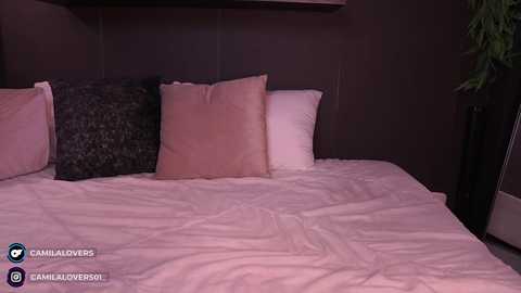 camilalovers01 free recording from 2025-02-10 06:23:00