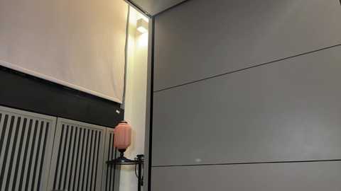 faseremx free recording from 2025-02-10 05:19:00