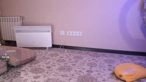 k_kimikooo free recording from 2025-02-10 07:35:00