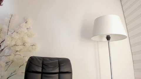 sweetsalice__ free recording from 2025-02-10 03:46:00