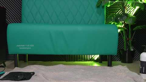 homehornyeva free recording from 2025-02-11 10:41:00