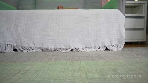 jeangreybianca free recording from 