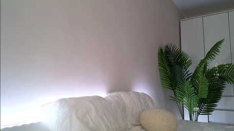 tadammary free recording from 2025-02-11 10:31:00