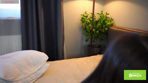 bellacle free recording from 