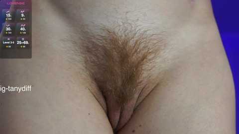 diffgirls free recording from 2025-02-12 16:18:00