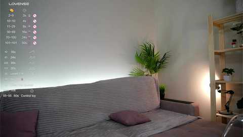 katiebrach free recording from 2025-02-12 13:14:00