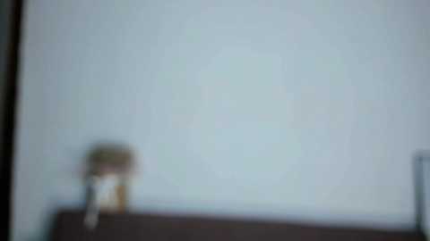 ayladrew free recording from 2025-02-13 14:49:00