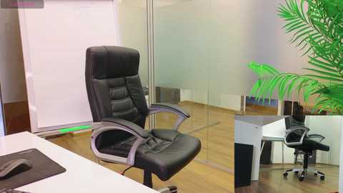 babesgowild free recording from 2025-02-13 08:12:00