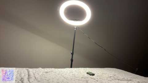 endlessmia free recording from 2025-02-13 01:26:00