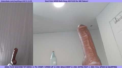 wynfreya free recording from 2025-02-13 15:09:00