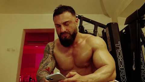 adonis_msc free recording from 2025-02-14 02:55:00