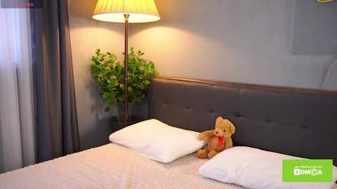 bellacle free recording from 2025-02-14 12:54:00