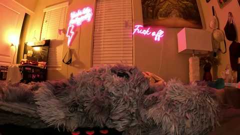 dirtygirldaisy free recording from 