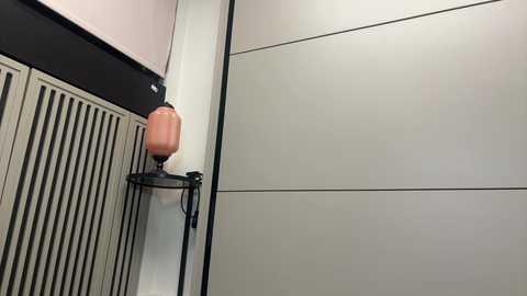 faseremx free recording from 2025-02-14 04:41:00