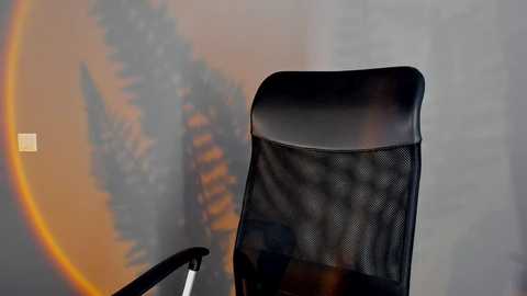 judymiles free recording from 2025-02-14 09:13:00