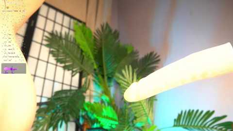 marybrent free recording from 