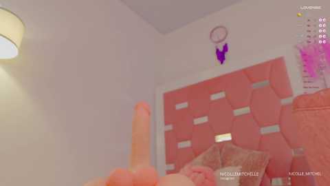 nicolle_mitchelle free recording from 2025-02-14 16:37:00