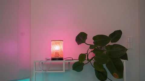 sonya_kelsey free recording from 