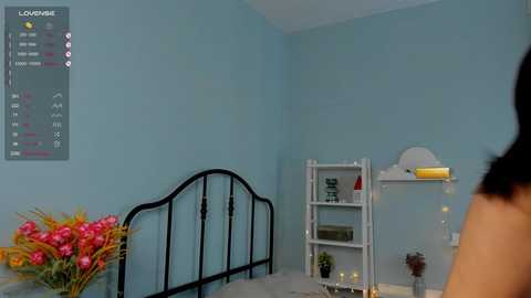 alicepreuoston free recording from 2025-02-15 08:38:00