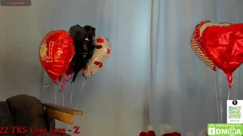 little_nut free recording from 2025-02-15 10:03:00