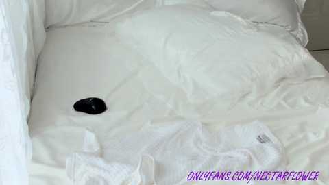 littlegreekflower free recording from 