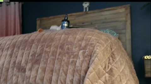 mssbb free recording from 