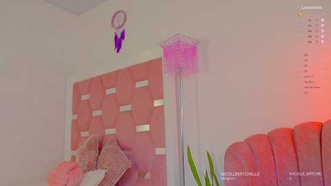 nicolle_mitchelle free recording from 2025-02-15 14:14:00