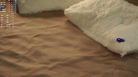 a_whole_eternity free recording from 2025-02-16 20:11:00