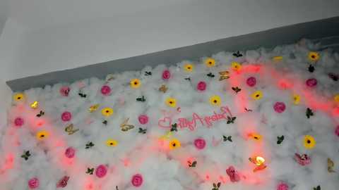 babyaylin free recording from 2025-02-16 11:13:00