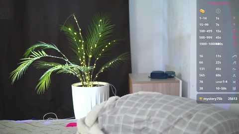 dianaholiday free recording from 2025-02-16 12:41:00