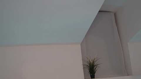 my_stella free recording from 2025-02-16 19:35:00