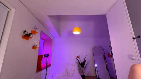 vixenp free recording from 