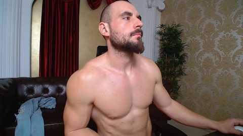 adamjameson free recording from 