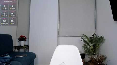 ann__w free recording from 2025-02-17 04:20:00