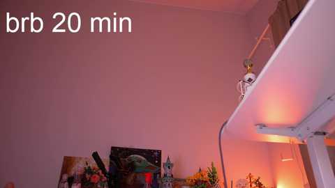 lil_eva free recording from 2025-02-17 16:46:00