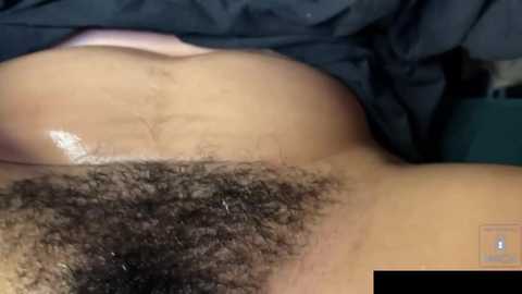 lilyjanee free recording from 2025-02-17 00:56:00