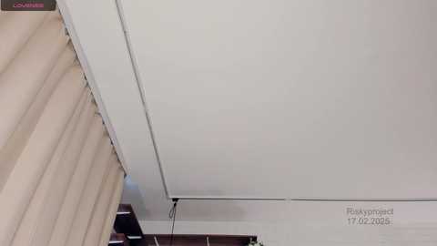 riskyproject free recording from 2025-02-17 08:25:00