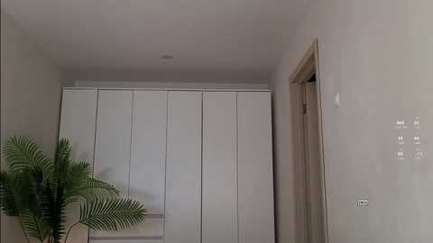 tadammary free recording from 2025-02-17 12:42:00