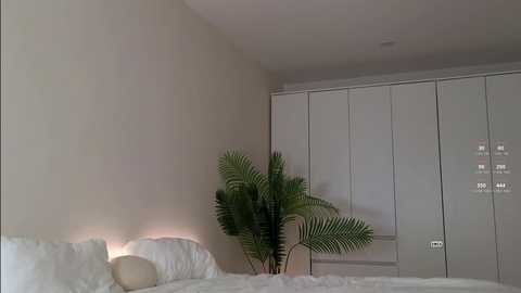 tadammary free recording from 2025-02-17 13:39:00