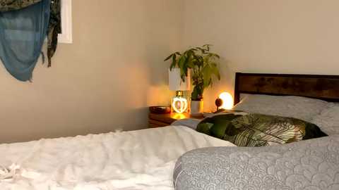 abbienextdoor free recording from 2025-02-18 04:57:00