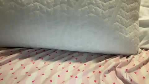 sweetgirl4everr2 free recording from 2025-02-18 11:20:00