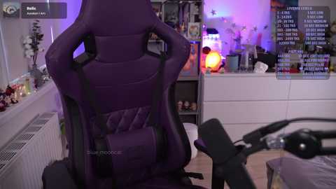 blue_mooncat free recording from 2025-02-19 07:31:00